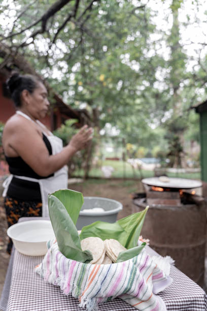 istock Keeping fresh cooked corn tortillas with banana leaves 1570790917