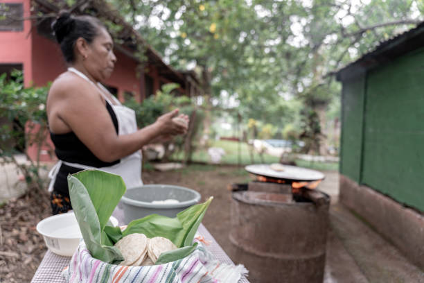 istock Keeping fresh cooked corn tortillas with banana leaves 1570790919