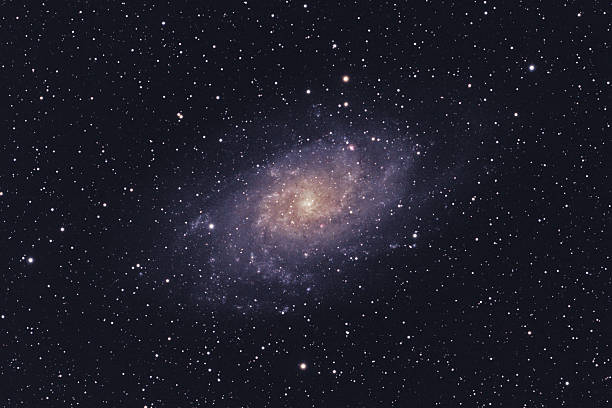 M33 Triangulum Galaxy Triangulum Galaxy (Messier M33 or NGC 598) is a spiral galaxy in our Local Group which can be found in the constellation Triangulum. Image taken through a 100mm refractor telescope with about 1h of exposure time. number 33 stock pictures, royalty-free photos & images