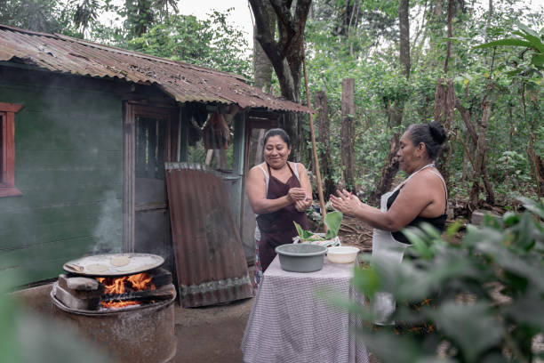 две взрослые латиноамериканки вручную формируют кукурузные лепешки - guatemalan culture central america mother traditional culture стоковые фото и изображения