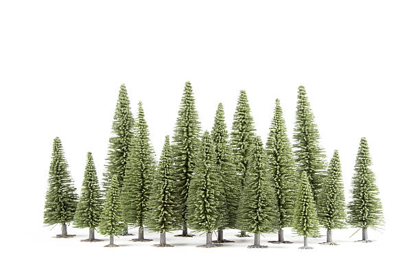 toy forest some green toy fur-trees isolated on white diorama photos stock pictures, royalty-free photos & images