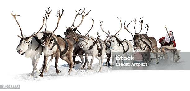 Santa Claus In A Sleigh Stock Photo - Download Image Now - Reindeer, Santa  Claus, Animal Sleigh - iStock