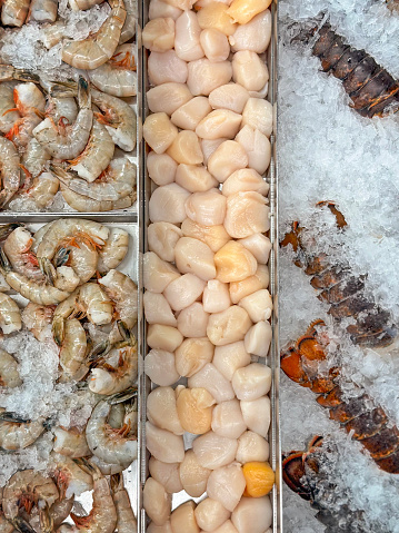 Scallops, prawns and lobsters on ice in a fish market display