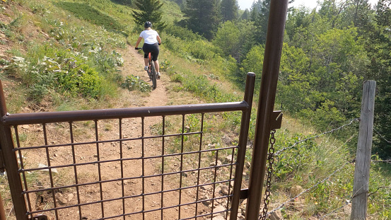 Trail through forest in front of her, Crowsnest Pass, Alberta