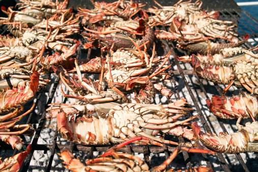 lobster barbecue/file_thumbview/22204818/1