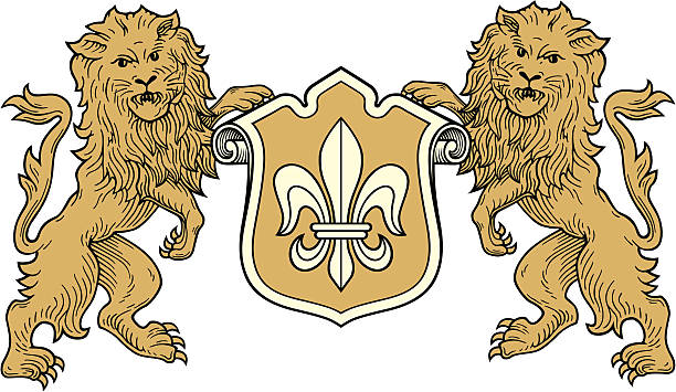 lion 문장 벡터 - lion coat of arms shield backgrounds stock illustrations