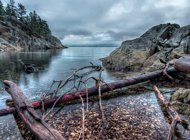 Wood Along Rocky Shore stock photo