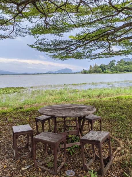 istock green scenery at the country side and lake 1570929574