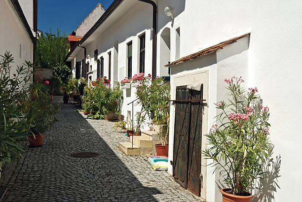 Small lane at a village in austria, old style with plants of oleander near the entrance.