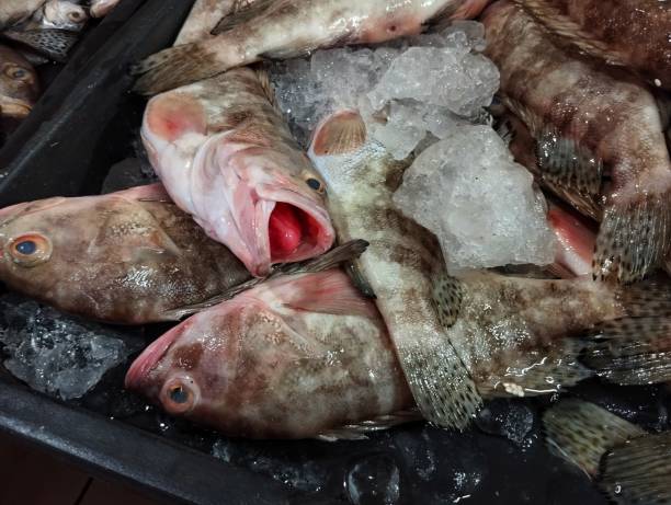 istock Grouper fish at the wet market 1570966231