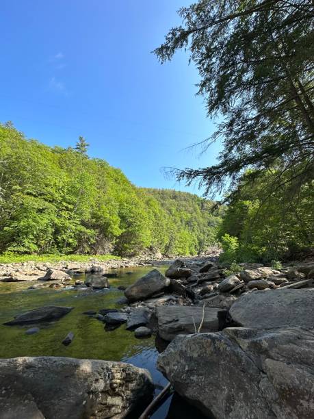 istock Rocky Loyalsock Creek in Eagles Mere, Pennsylvania 1570975224