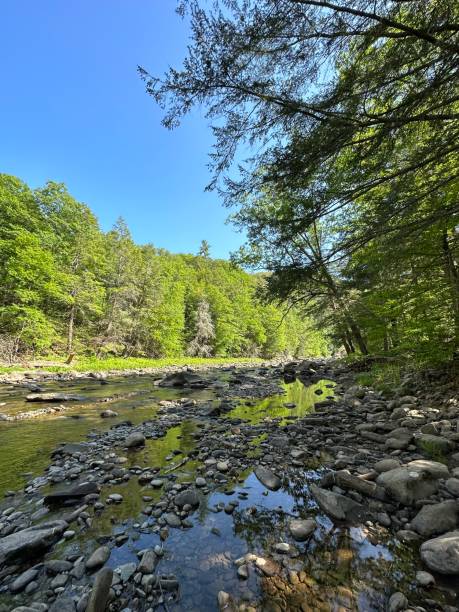 istock Rocky Loyalsock Creek in Eagles Mere, Pennsylvania 1570977292
