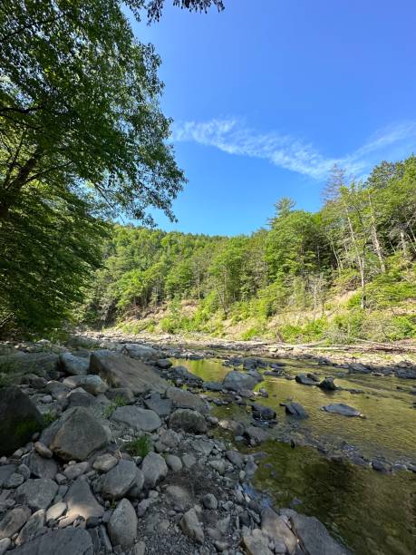 istock Rocky Loyalsock Creek in Eagles Mere, Pennsylvania 1570977802