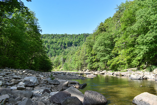 Rocky Loyalsock Creek surrounded by forest in Eagles Mere, Pennsylvania