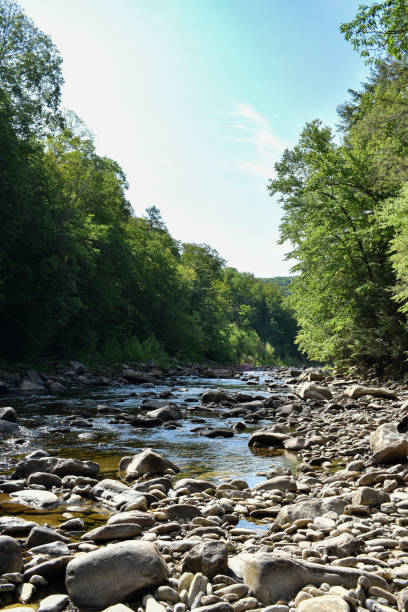 istock Rocky Loyalsock Creek in Eagles Mere, Pennsylvania 1570984086