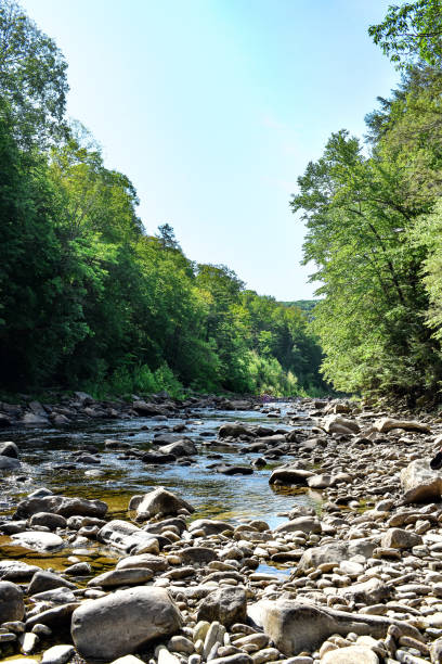 istock Rocky Loyalsock Creek in Eagles Mere, Pennsylvania 1570992500
