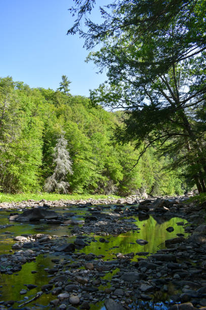 istock Rocky Loyalsock Creek in Eagles Mere, Pennsylvania 1570992506