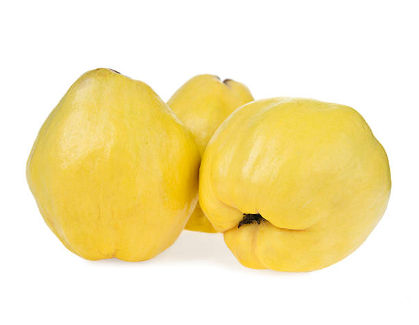 quinces on  white background stock photo