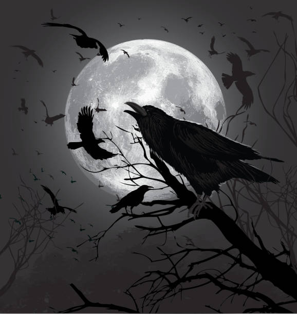 bildbanksillustrationer, clip art samt tecknat material och ikoner med crows - moon forest