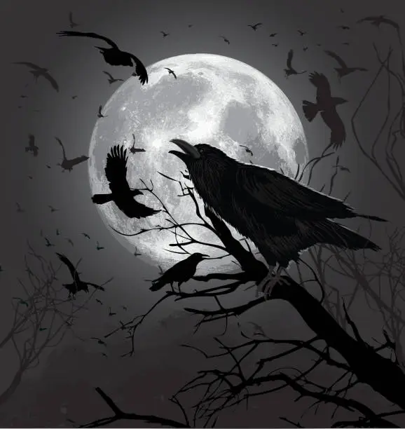 Vector illustration of Crows