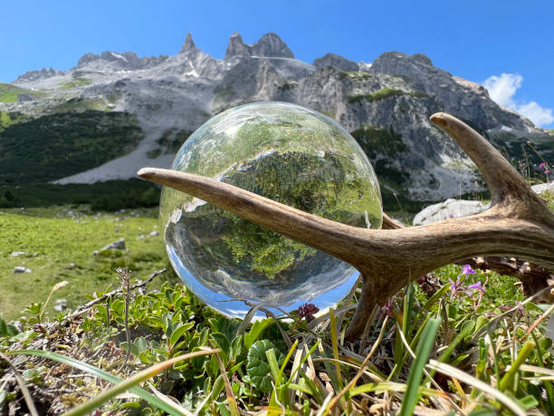 Still life of impressive roebuck antlers (hunting trophy), next to Lens ball, crystal ball. stock photo