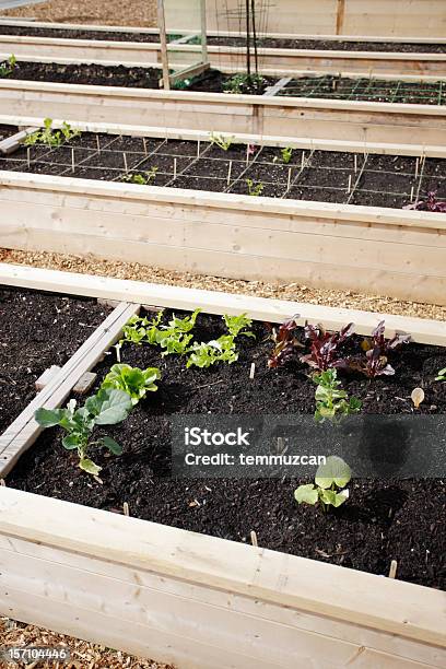 La Jardinería Foto de stock y más banco de imágenes de Abono - Abono, Agricultura, Aire libre