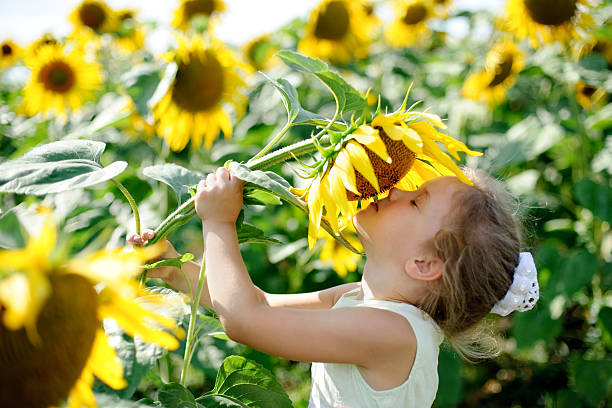 Little girl stock photo