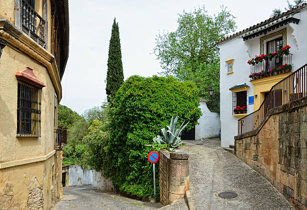 istock Steep street in the ancient Ronda 157105415