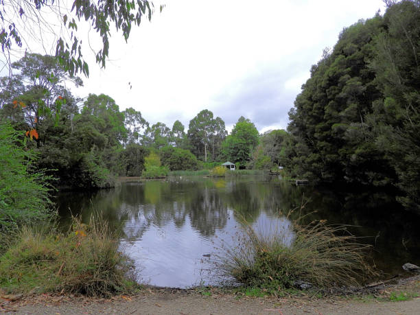 istock Leongatha,  Victoria,  Australia 1571057398
