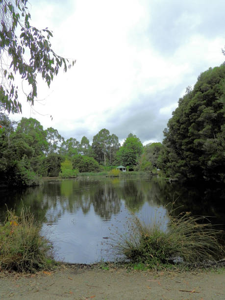 istock Leongatha,  Victoria,  Australia 1571057400