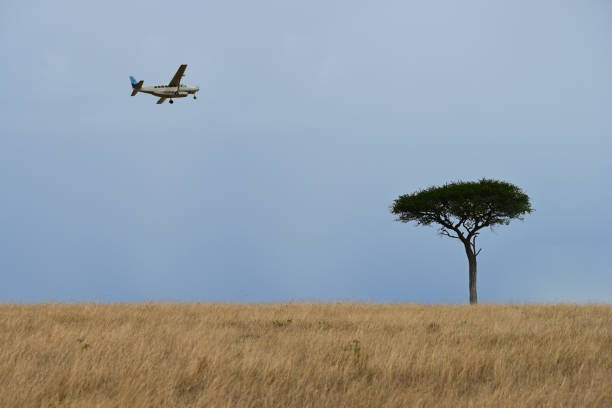 istock African landscape with a lone tree and an airplane 1571059890