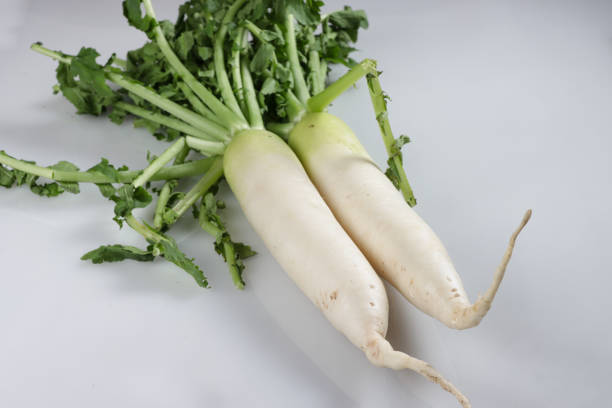 istock Lobak Putih or White Radish or Daikon Radish on White Background. 1571060385