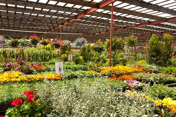 istock Garden Center Greenhouse 157106453