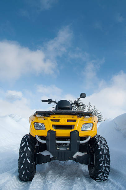 set of quad bike isolated on white background