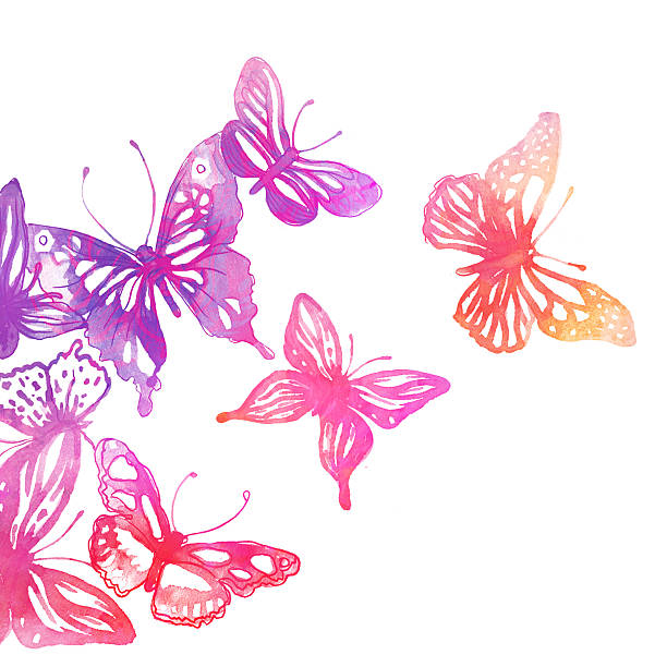 Amazing background with butterflies and flowers stock photo