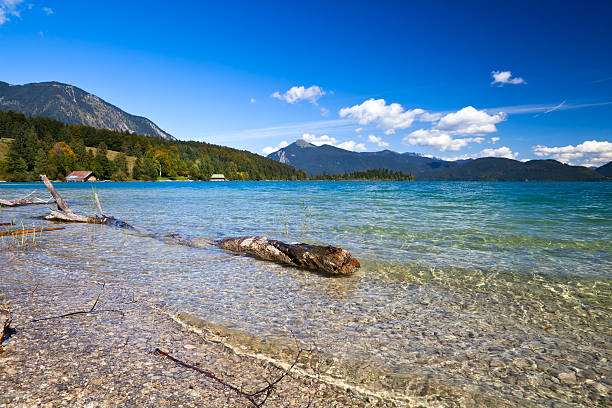 belo lago walchensee alpino - walchensee lake imagens e fotografias de stock