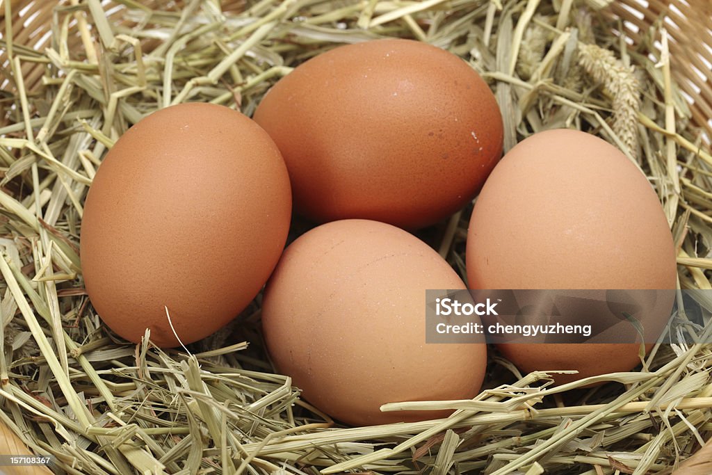 Huevos - Foto de stock de Abundancia libre de derechos