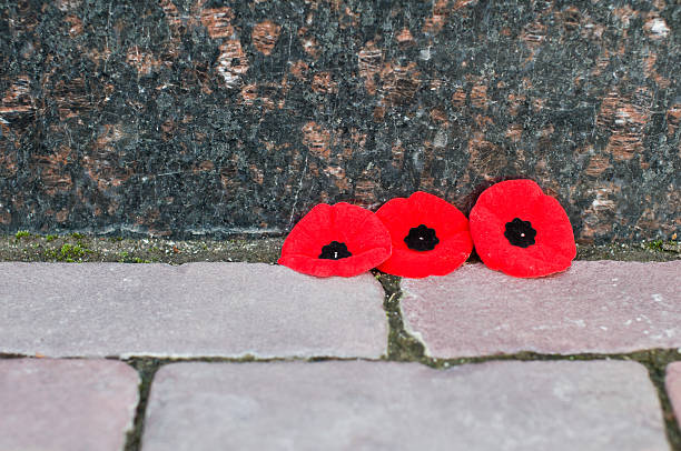 istock remembrance memorial day poppies marble wall brick walkway 157110859