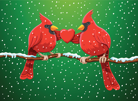 Vector Illustration of two red Cardinal birds, who are holding a heart symbol. Great theme for christmas cards. The birds, the snow and the background are on separate layers, so you can use the illustration on your own background. The colors in the .eps-file are ready for print (CMYK). Included files: EPS (v8) and Hi-Res JPG.