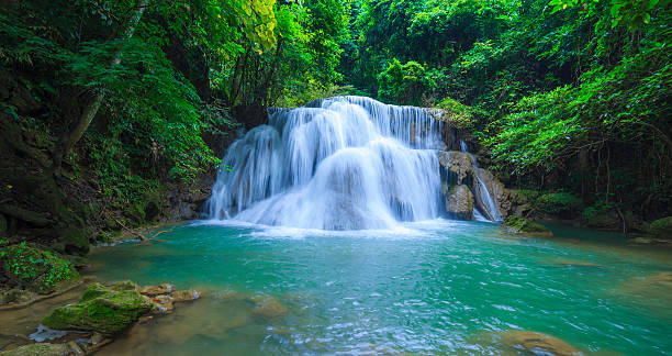 エラワンの滝カーンチャナブリー県（タイ） - waterfall erawan tropical rainforest tree ストックフォトと画像