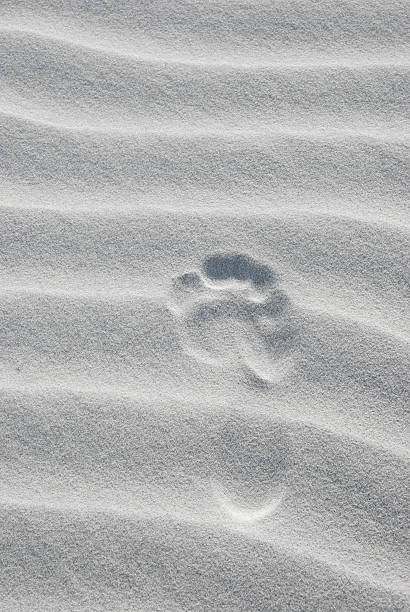 istock foot print on beige sand 157115268