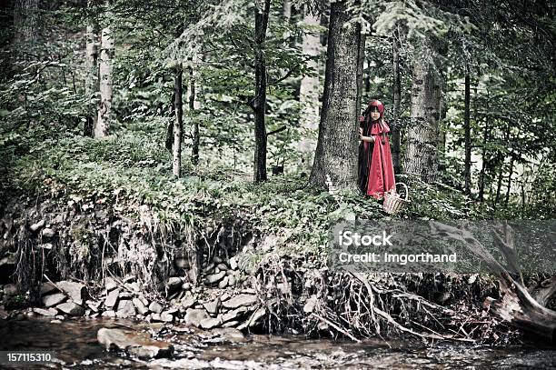 Małe Czerwone Jeżdżenie Kaptur W Ciemny Las - zdjęcia stockowe i więcej obrazów Dziecko - Dziecko, Las, Little Red Riding Hood