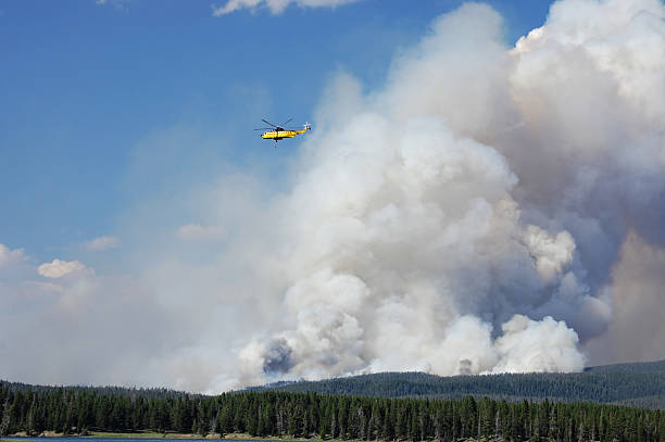 Wildfire in Yellowstone National Park