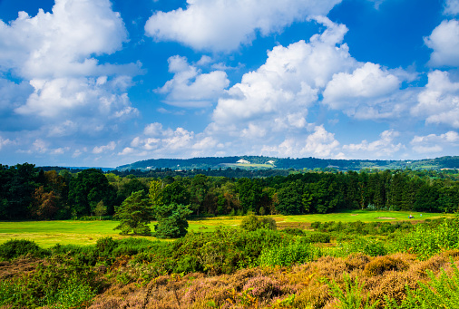 A walk around Reigate Heath in Surrey south east England during the month of September