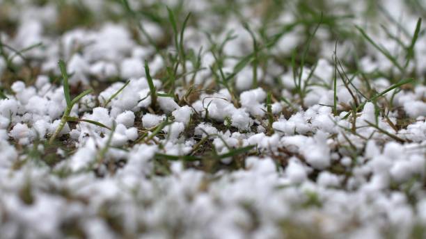 istock Hailstones falling on Grass during Hailstorm Close-Up Slow Motion 1571258314