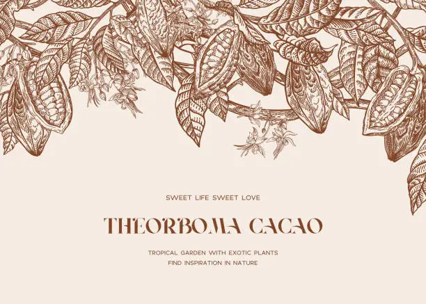 Vector illustration of Floral border. Cocoa plant.