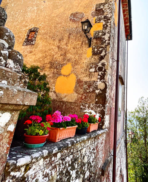 istock Beautiful details in the old garden 1571291763