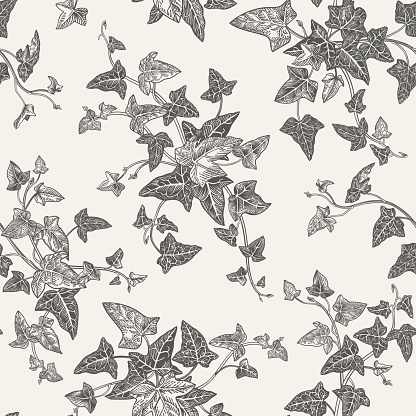 Floral seamless pattern with ivy branches. Classic background with plants. Vector plant illustration. Vintage. Black and white.