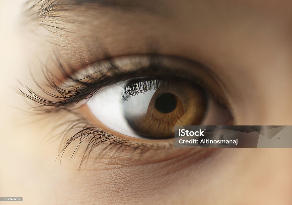 Child's human Eye Macro - close up Eye Stock Photo