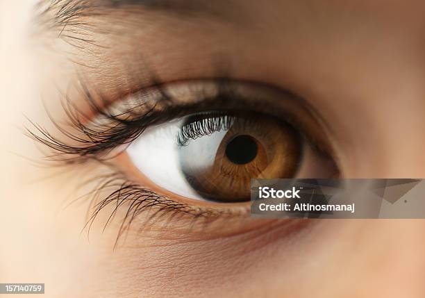 Childs Human Eye Stock Photo - Download Image Now - Eye, Child, Close-up